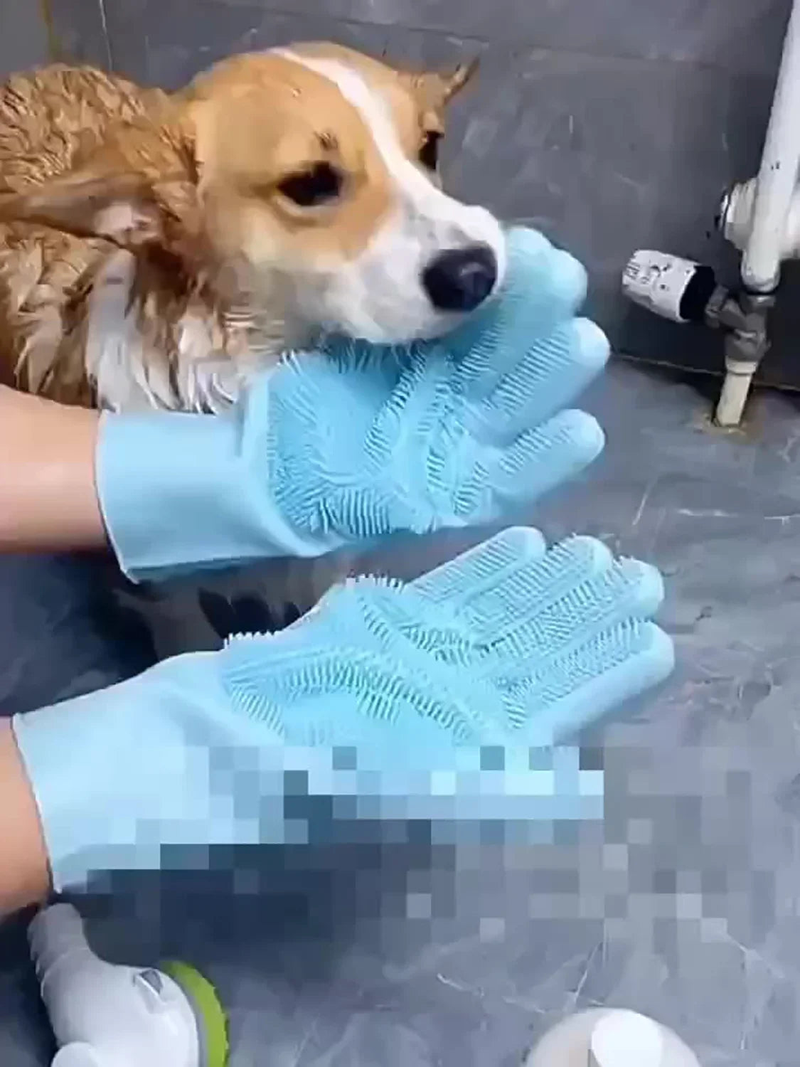 Pet Grooming Glove – Silicone Hair Removal & Bathing